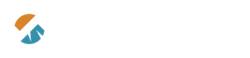 Pixel Summit